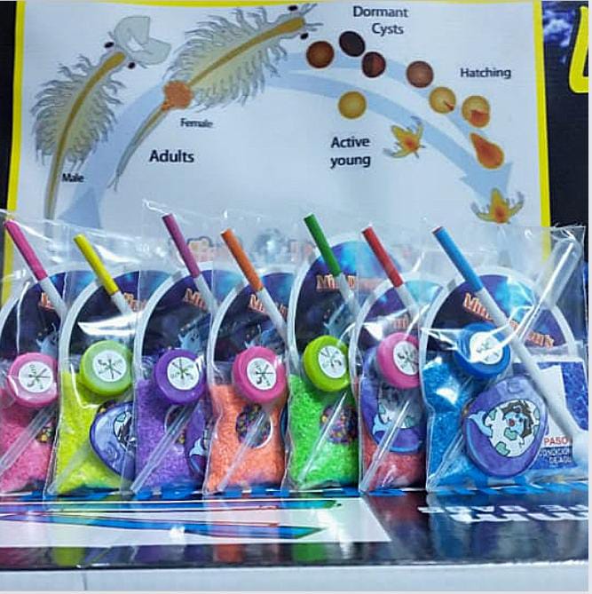 Acuario Magico De Mini Dragones 50% OFF - ElPinarDelrio