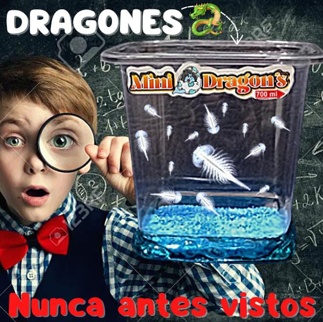 Acuario Magico De Mini Dragones 50% OFF - ElPinarDelrio