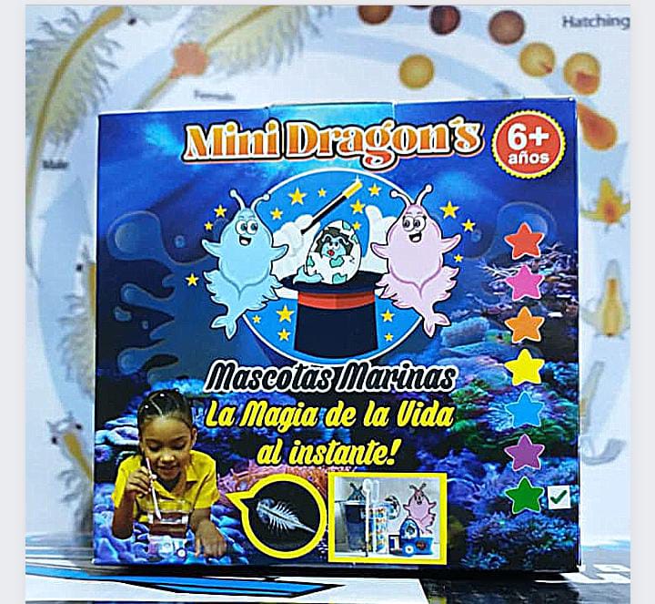 Acuario Magico De Mini Dragones 50% OFF - ElPinarDelrio