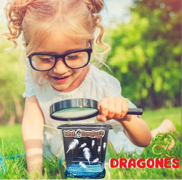 Acuario Magico De Mini Dragones 50% OFF - ElPinarDelrio