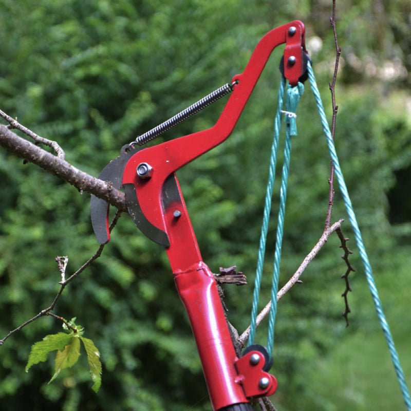 Tijera Podadora Extendible Para Alturas 50% OFF - ElPinarDelrio