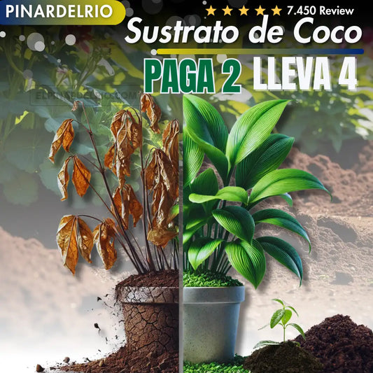 PAGUE 2 Y LLEVE 4 Sustrato de Coco Premium 50% OFF