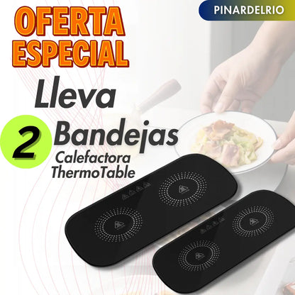 Bandeja Calefactora ThermoTable