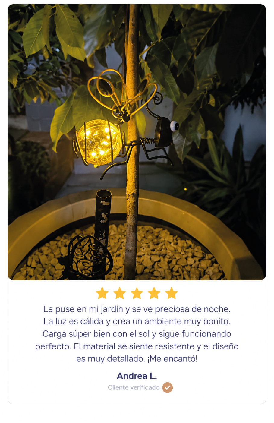 Imagen del carrusel
