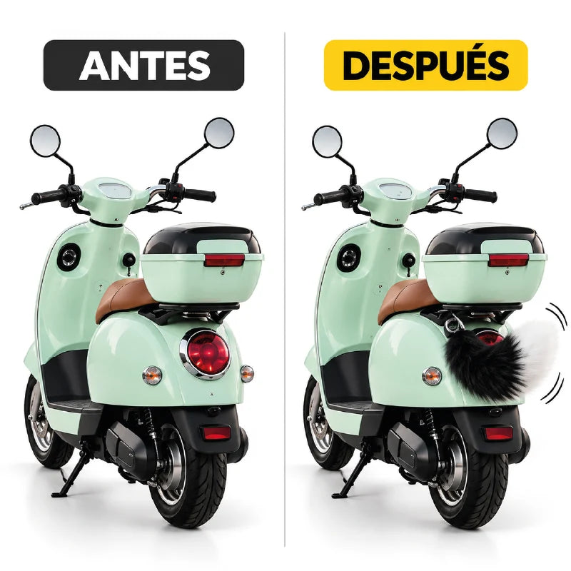 ACCESORIO EN TENDENCIA COLAFOX