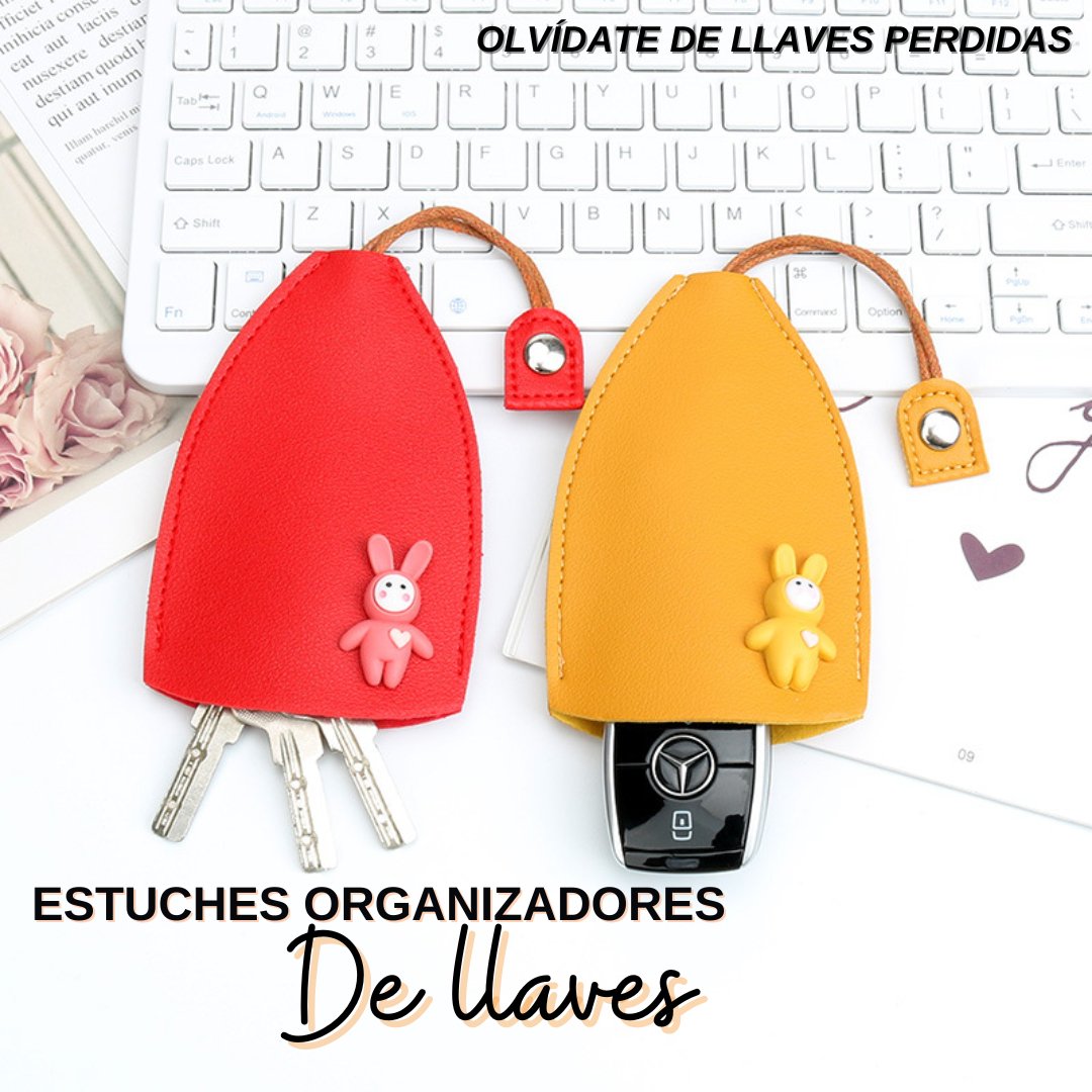 Pack de Estuches organizadores de llaves 50% OFF - ElPinarDelrio